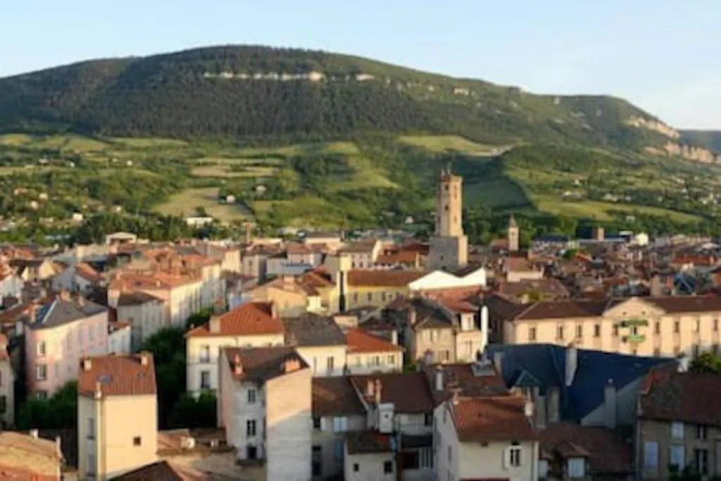 T2 Lumineux Hypercentre Apartment Millau